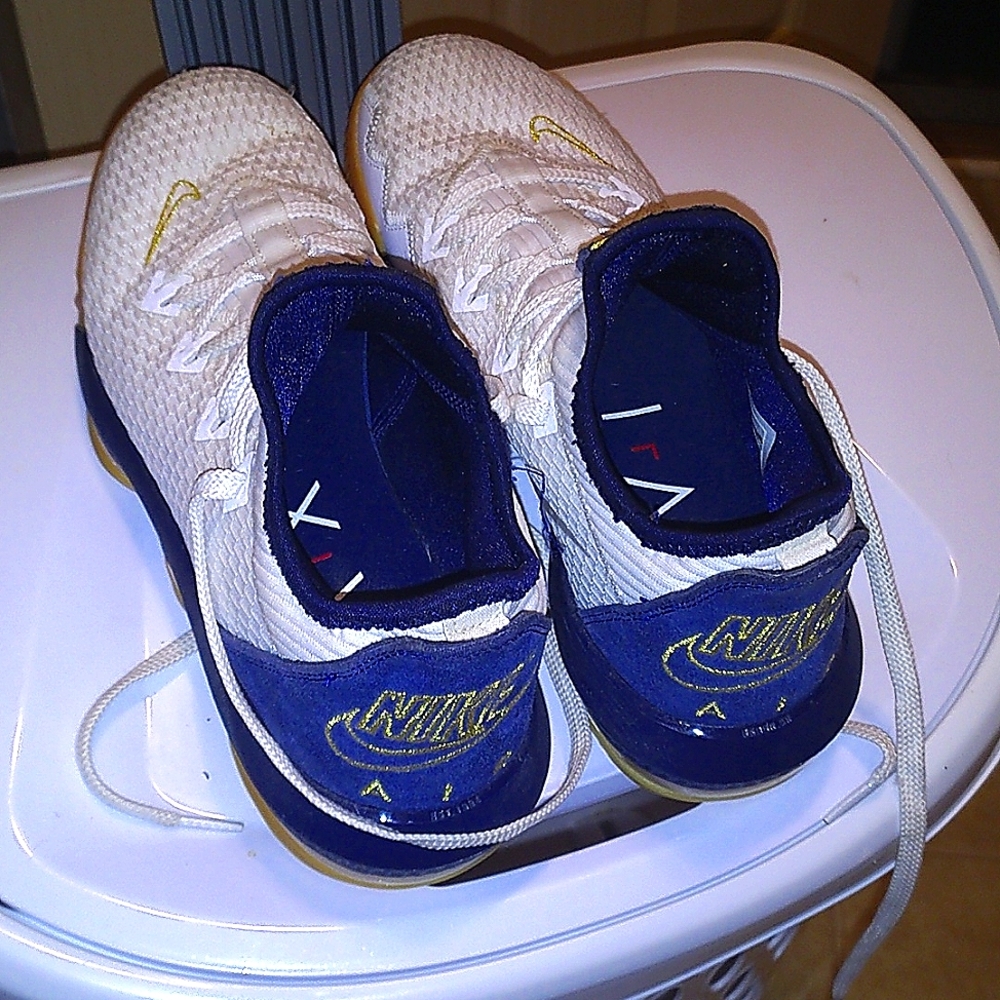 Lebron Nike Air XVI Basketball Shoes